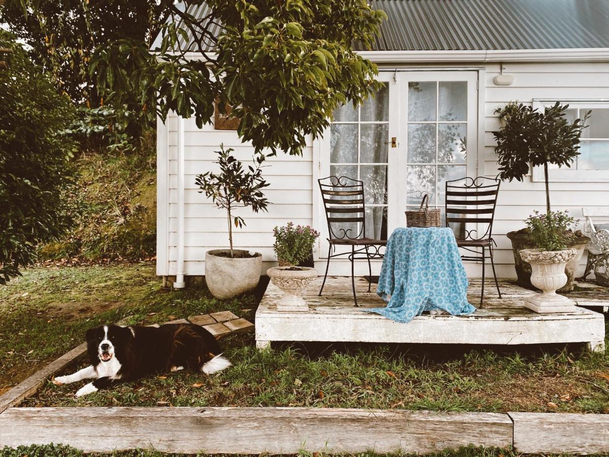 Thistle And Pine Cottage Farmstay Tauranga Buitenkant foto